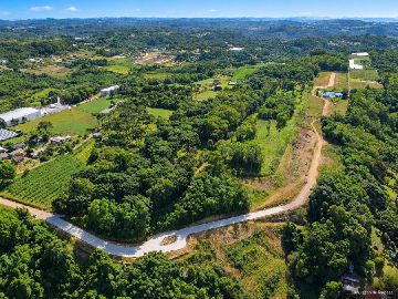 IMAGEM REAL FEITA POR DRONE