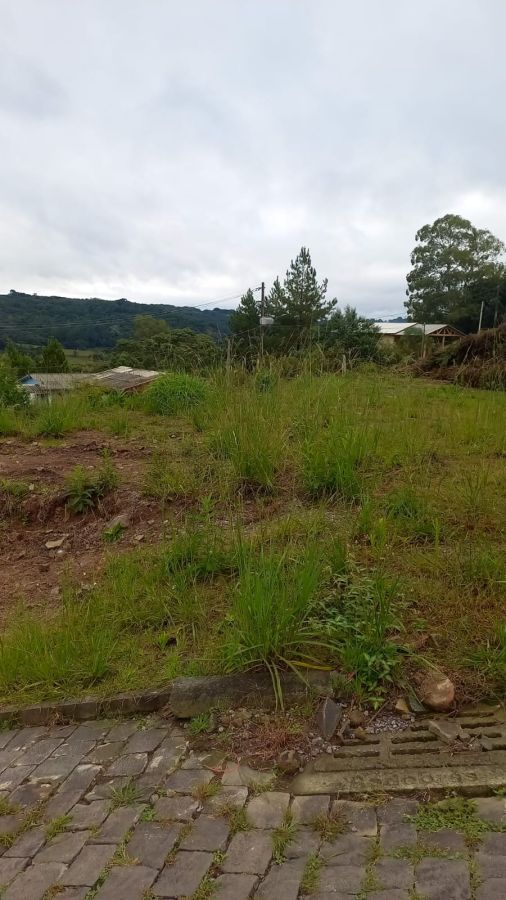 Terreno - Venda - Ana Rech - Caxias do Sul - RS