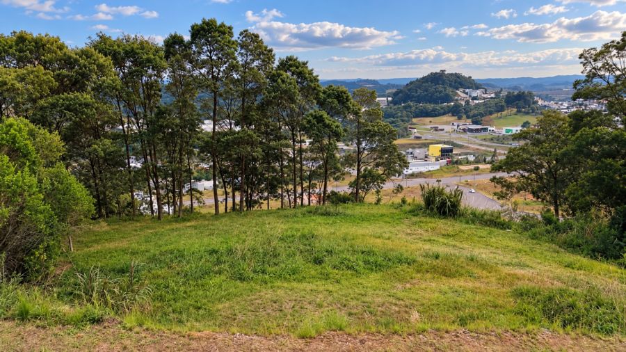 Terreno - Venda - Centro - Flores da Cunha - RS