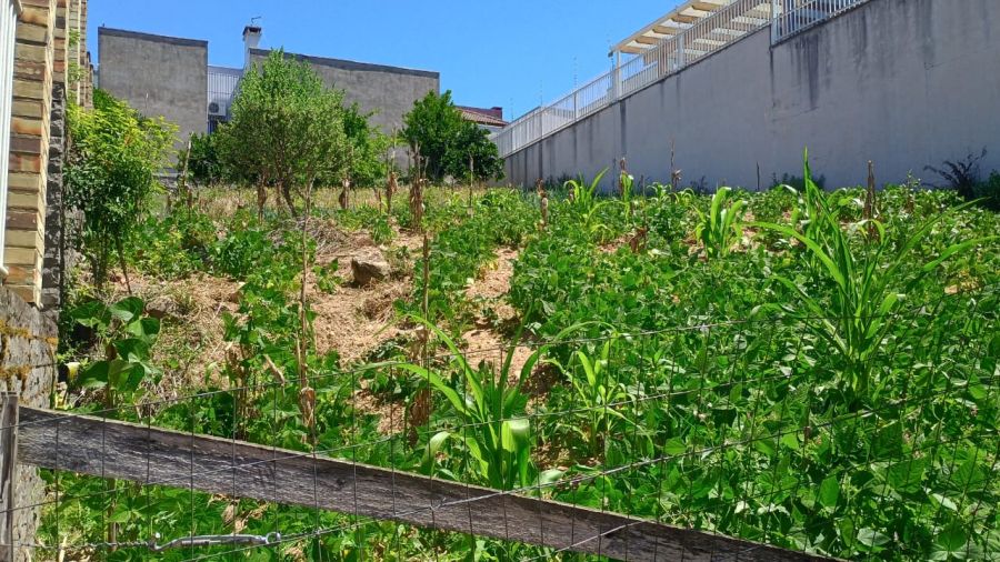 Terreno - Venda - So Virglio - Caxias do Sul - RS