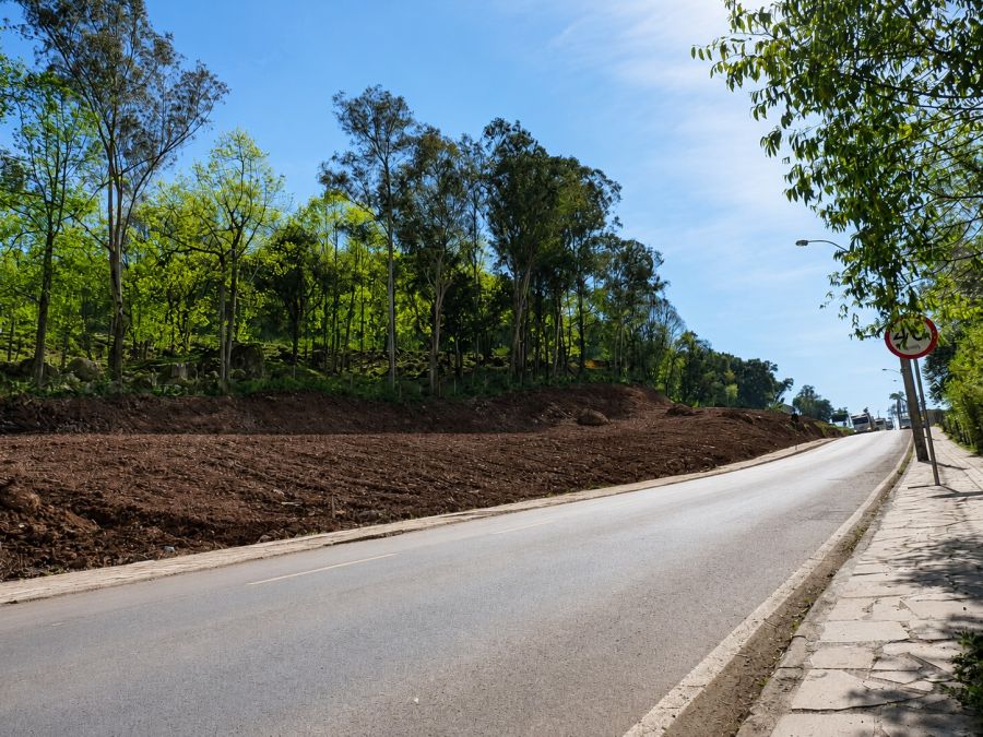 Terreno - Venda - Planalto - Caxias do Sul - RS