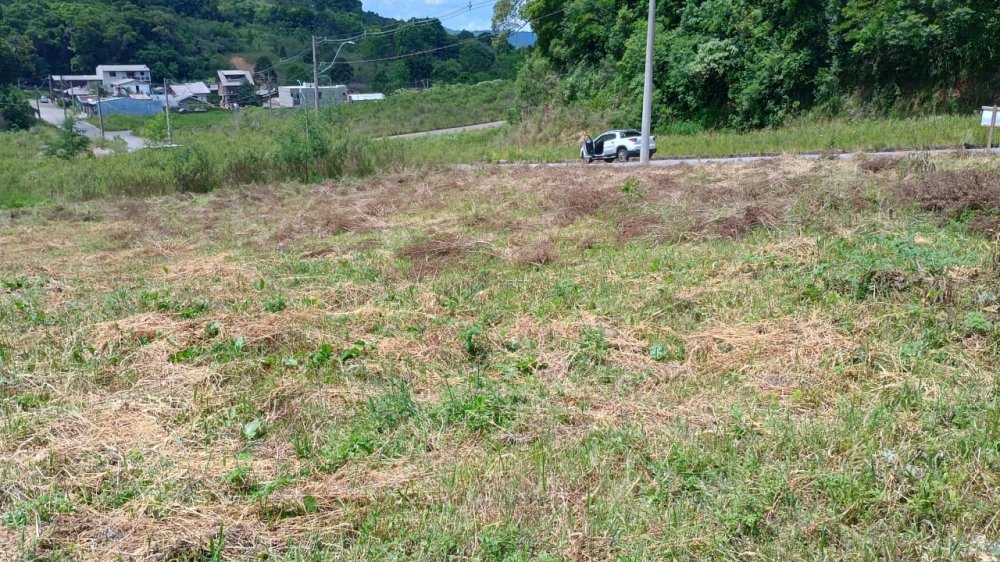 Terreno - Venda - Nossa Senhora das Graças - Caxias do Sul - RS