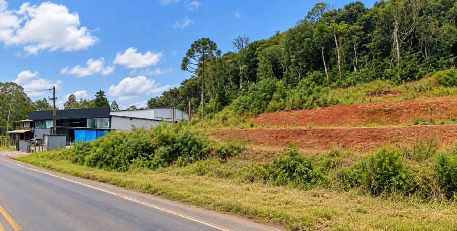 Terreno - Venda - São Gotardo - Flores da Cunha - RS