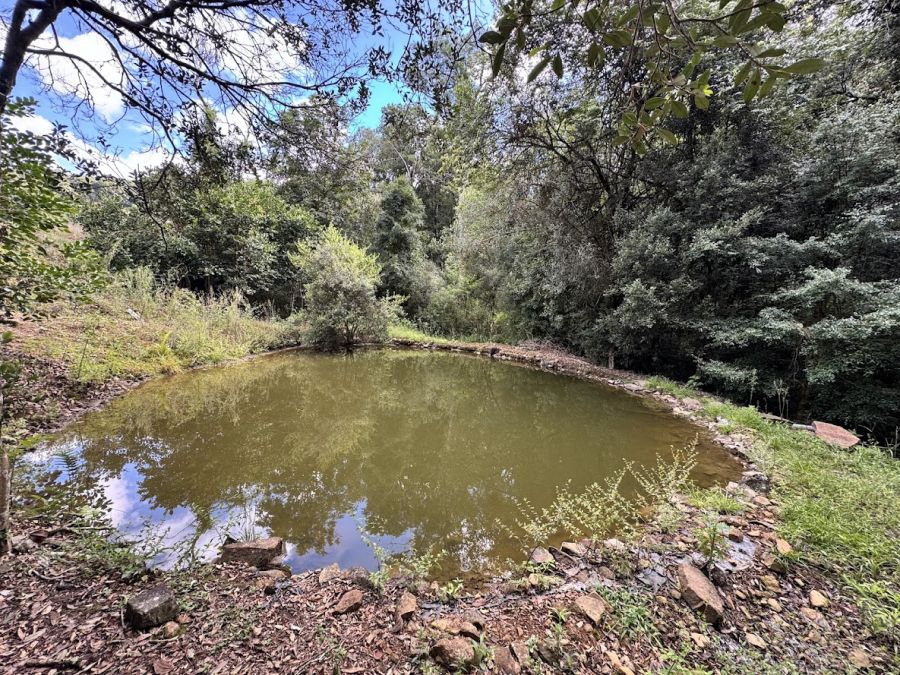 Chácara - Venda - Monte Bérico - Caxias do Sul - RS