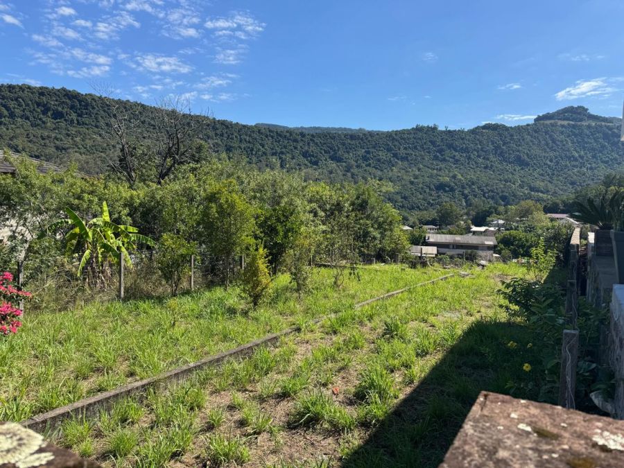 Terreno - Venda - Vila Cristina - Caxias do Sul - RS