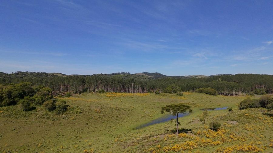 Rural - Venda - Vila Seca - Caxias do Sul - RS