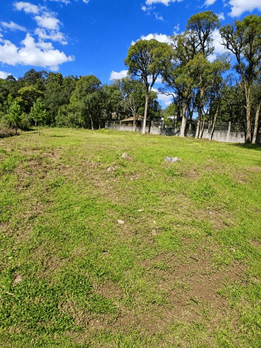 Terreno - Venda - Ana Rech - Caxias do Sul - RS