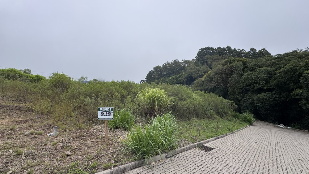 Terreno - Venda - Belvedere - Farroupilha - RS