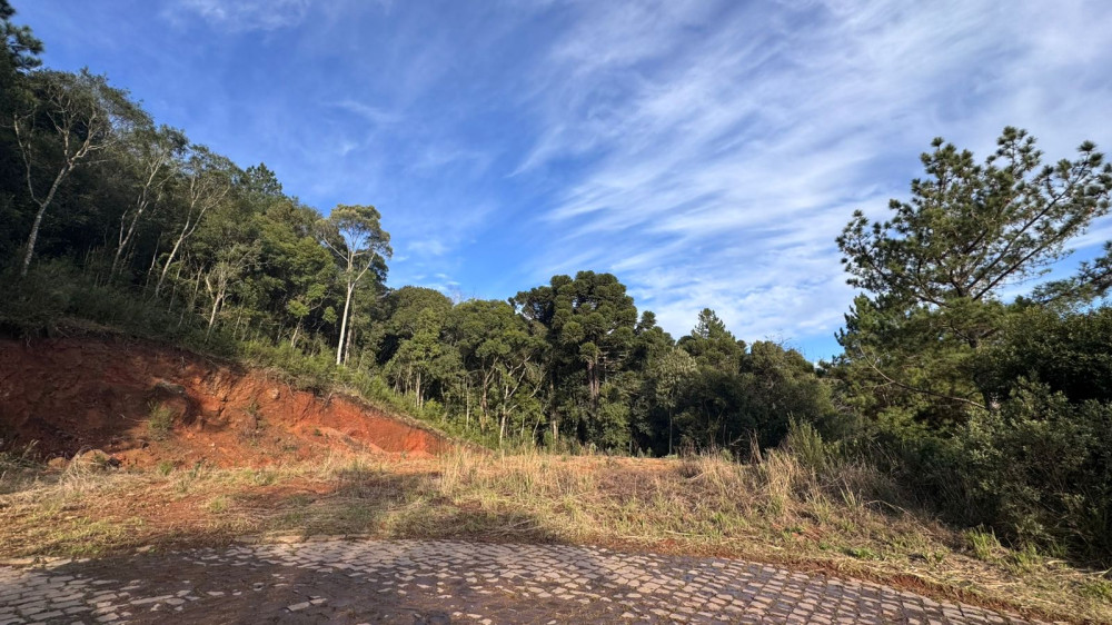 Terreno - Venda - Ana Rech - Caxias do Sul - RS