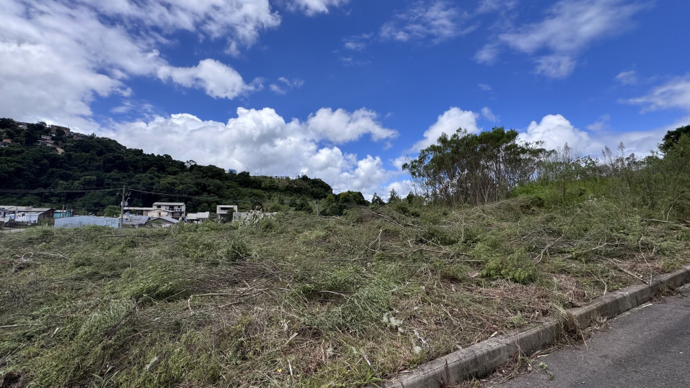 Terreno - Venda - Nossa Senhora das Graas - Caxias do Sul - RS