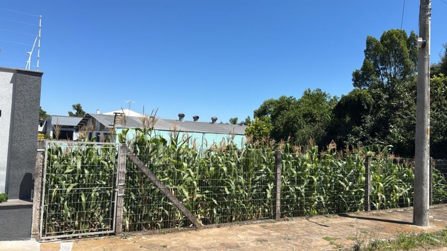 Terreno - Venda - Desvio Rizzo - Caxias do Sul - RS