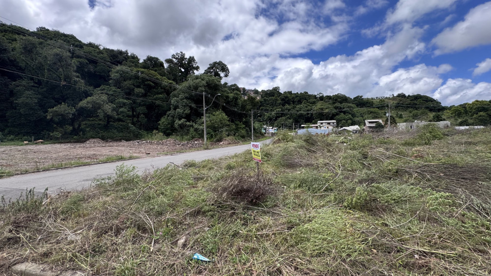 Terreno - Venda - Nossa Senhora das Graas - Caxias do Sul - RS