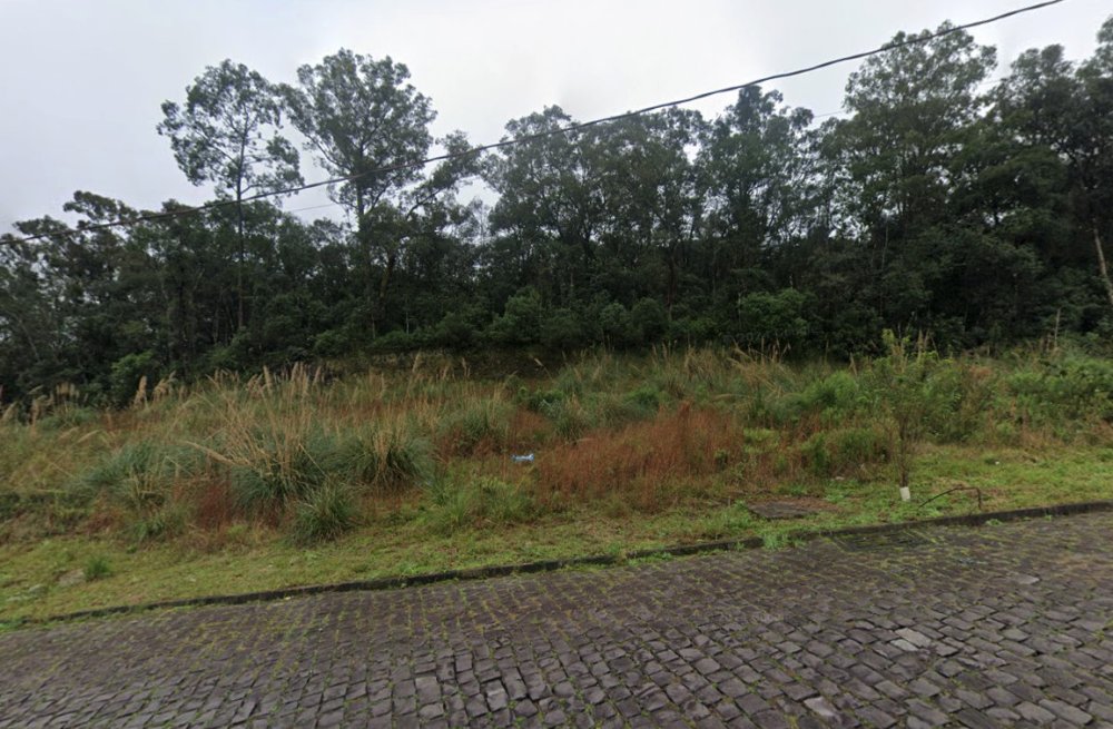 Terreno - Venda - Cidade Nova - Caxias do Sul - RS