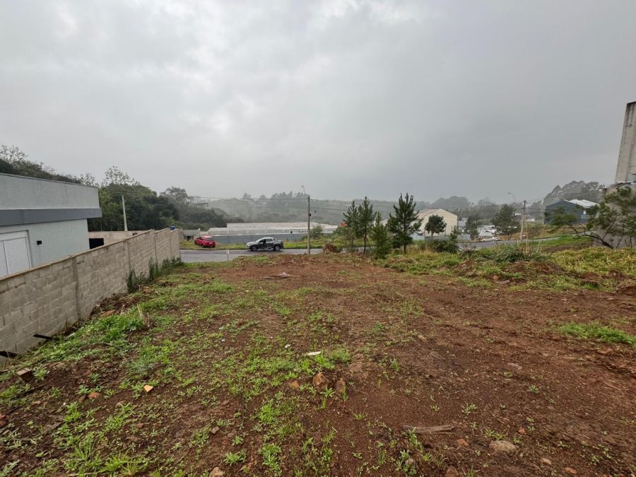 Terreno - Venda - S�o Virg�lio - Caxias do Sul - RS