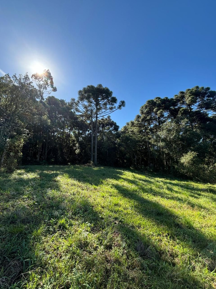 Chcara - Venda - Fazenda Souza - Caxias do Sul - RS