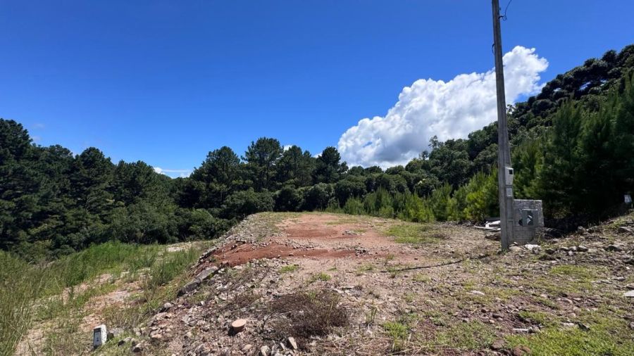 Terreno - Venda - São Giácomo - Caxias do Sul - RS