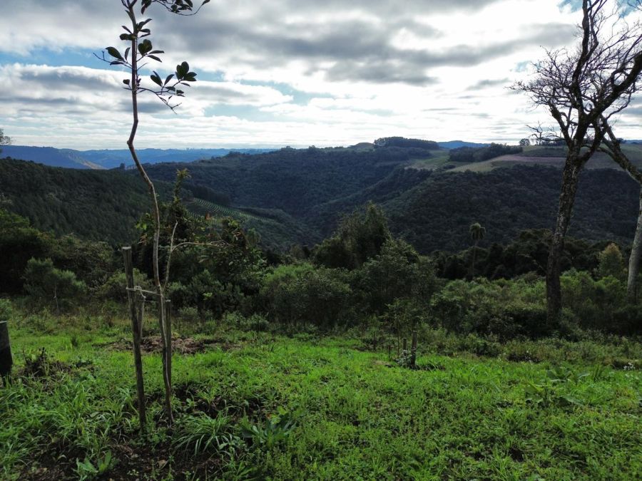 Rural - Venda - Vila Oliva - Caxias do Sul - RS