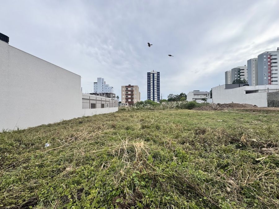 Terreno - Venda - Vila Verde - Caxias do Sul - RS