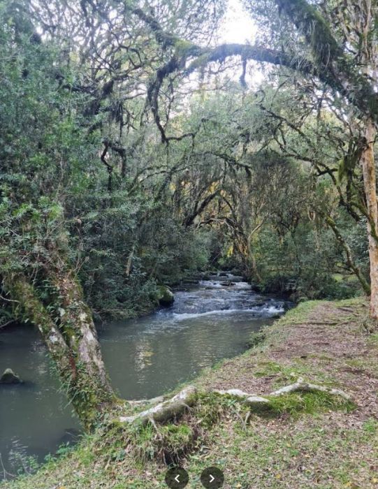 �rea - Venda - Santa L�cia do Pia� - Caxias do Sul - RS