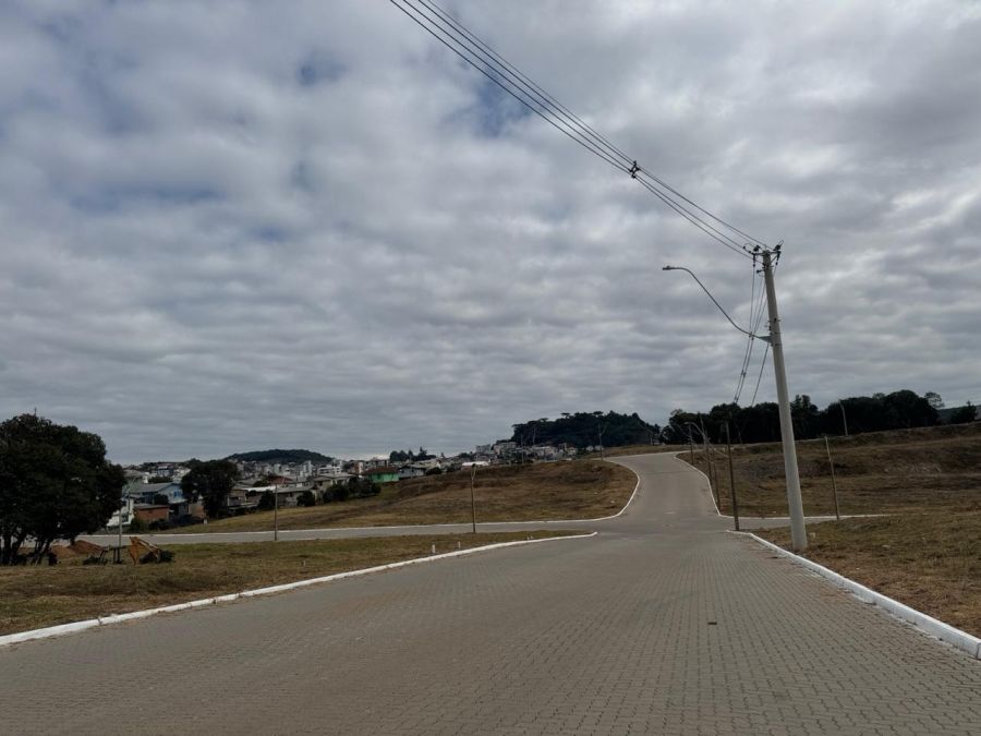 Terreno - Venda - Centro - Flores da Cunha - RS