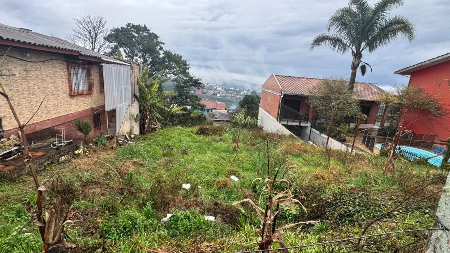 Terreno - Venda - Serrano - Caxias do Sul - RS