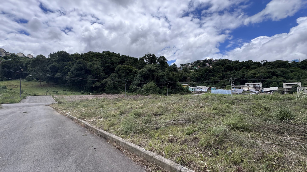 Terreno - Venda - Nossa Senhora das Graas - Caxias do Sul - RS