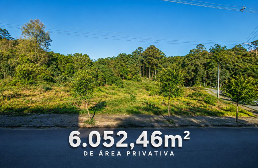 Terreno - Venda - S�o Victor Cohab - Caxias do Sul - RS