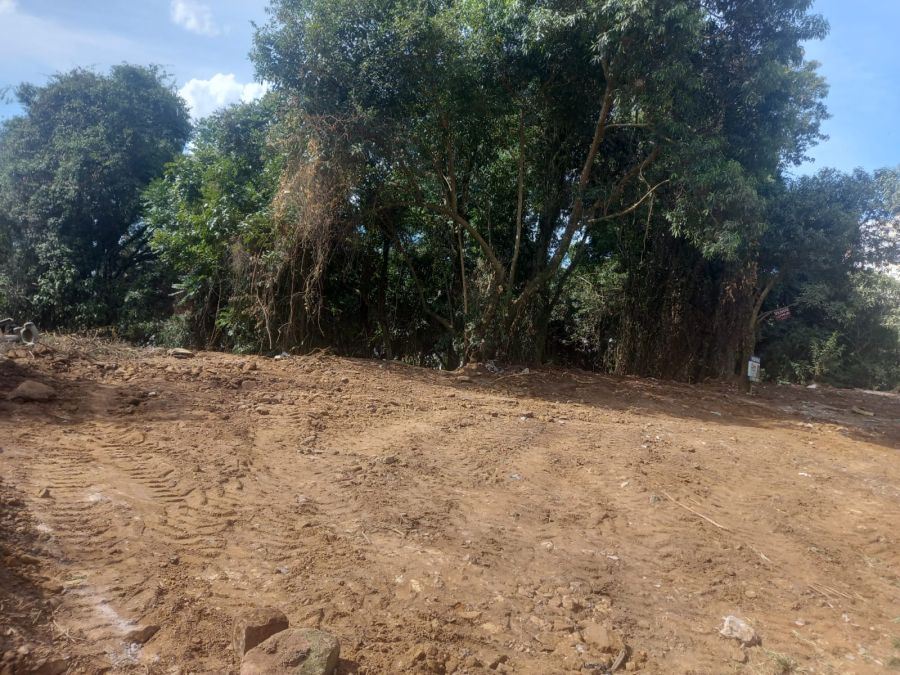 Terreno - Venda - Nossa Senhora do Ros�rio - Caxias do Sul - RS