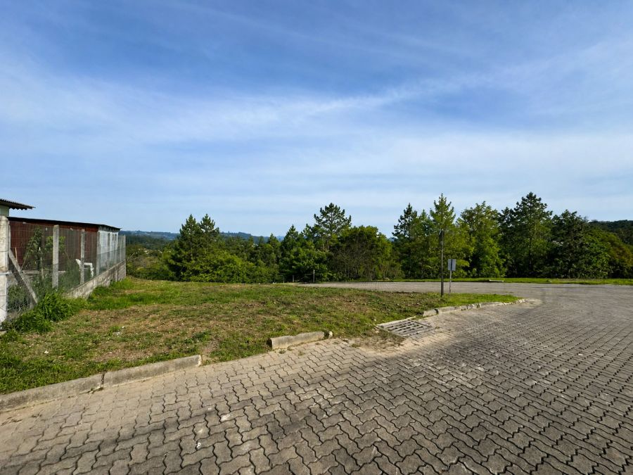 Terreno - Venda - Centro - Flores da Cunha - RS