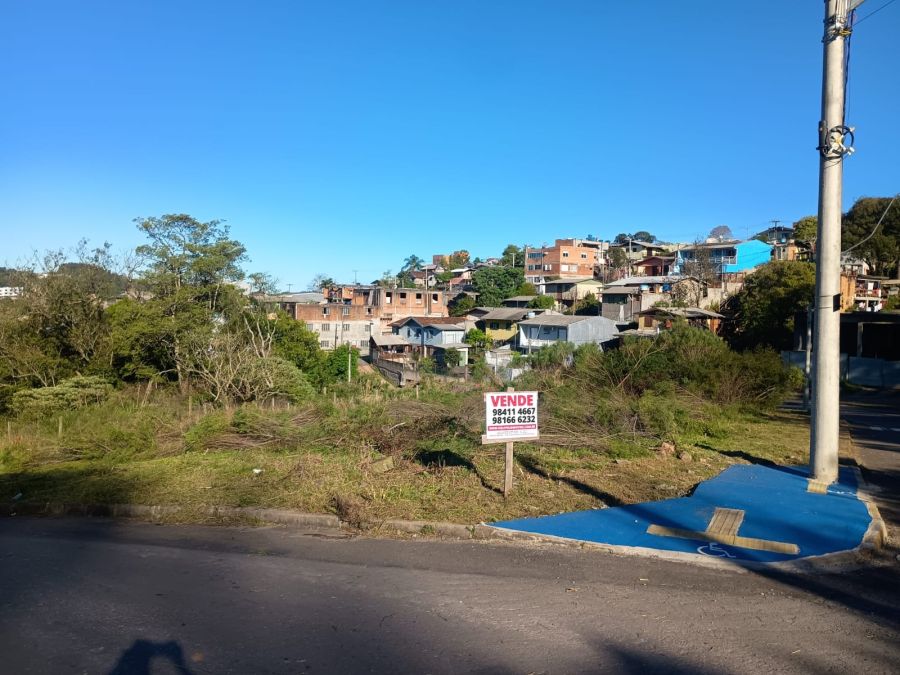 Terreno - Venda - Nossa Senhora das Graças - Caxias do Sul - RS