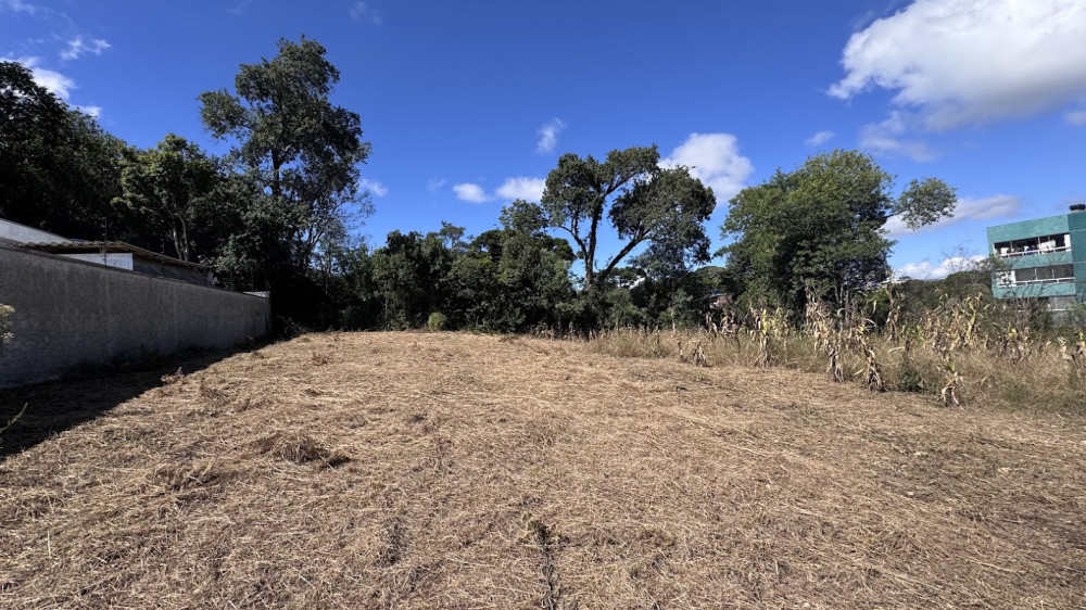Terreno - Venda - So Virglio - Caxias do Sul - RS