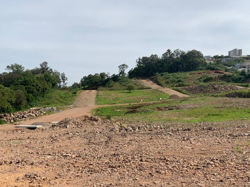 Terreno - Venda - Nossa Senhora das Graças - Caxias do Sul - RS