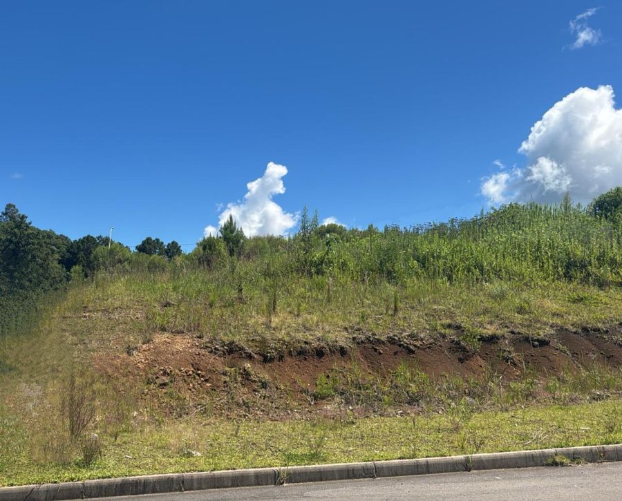 Terreno - Venda - São Giácomo - Caxias do Sul - RS