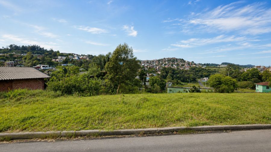 Terreno - Venda - Nossa Senhora das Gra�as - Caxias do Sul - RS