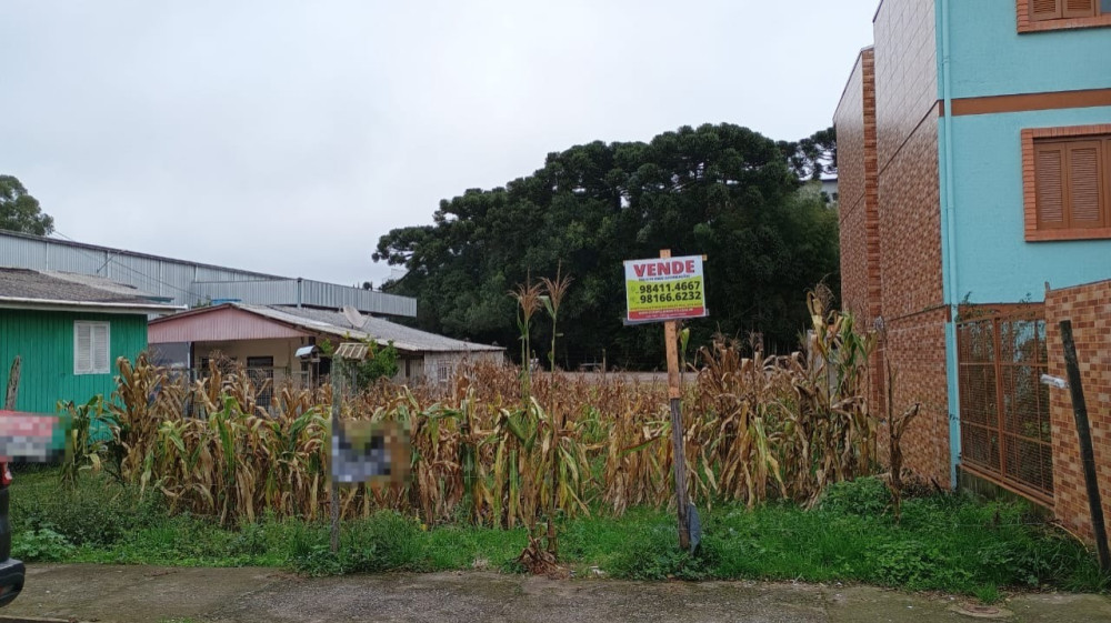 Terreno - Venda - Ana Rech - Caxias do Sul - RS