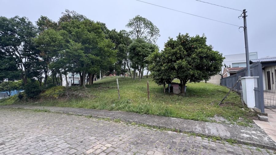 Terreno - Venda - Jardim Eldorado - Caxias do Sul - RS