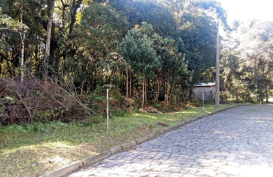 Terreno - Venda - Bela Vista - Caxias do Sul - RS