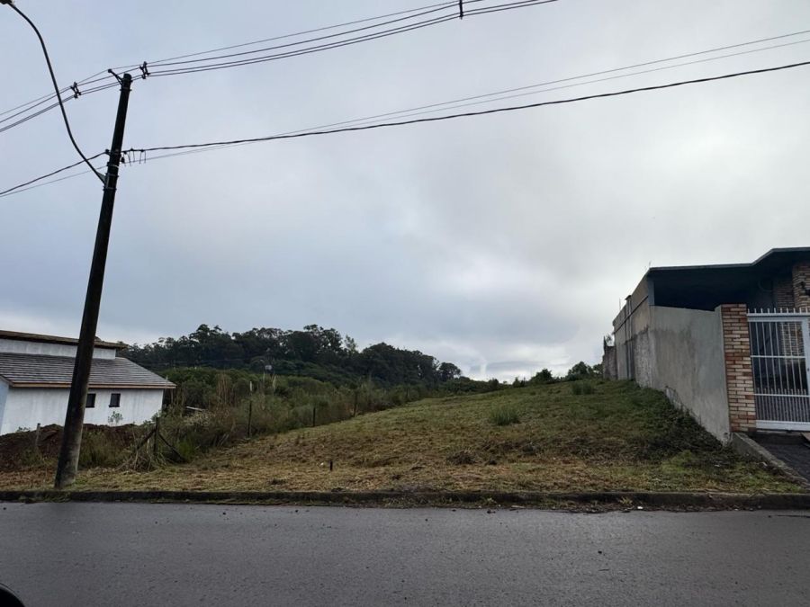 Terreno - Venda - São Giácomo - Caxias do Sul - RS