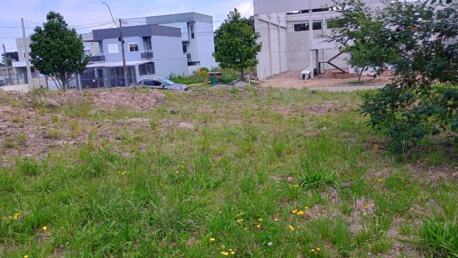 Terreno - Venda - S�o Virg�lio - Caxias do Sul - RS