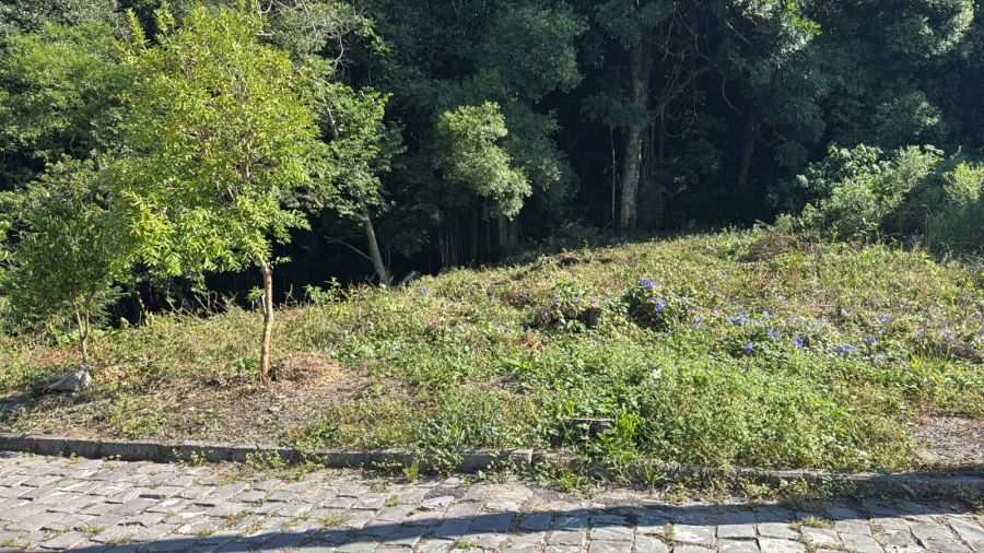 Terreno - Venda - Nossa Senhora das Graças - Caxias do Sul - RS